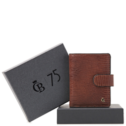 Castelijn en Beerens Pasjeshouder / Kaarthouder Giftset RFID Leer voor pasjes, briefgeld en kleingeld Miniwallet Bruin