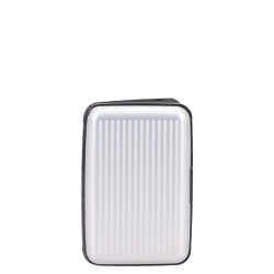 Worldpack Pasjeshouder / Kaarthouder Uitschuifbaar RFID voor pasjes en briefgeld Zilver