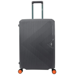 Decent Harde Koffer / Trolley / Reiskoffer 67 cm (Medium) Smart Zilver