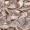 Allan K Caroline Canope Beige