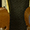 Brics XCollection Rood