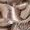 Allan K Kirsten Mini Canope Mix Beige