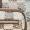 Steve Madden Bmax12 Brons