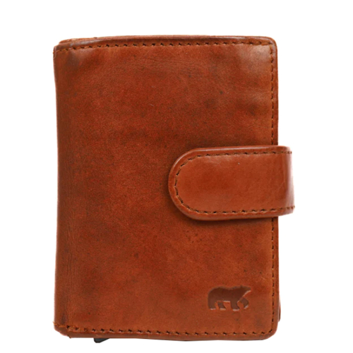 Bear Design Bobby Bruin