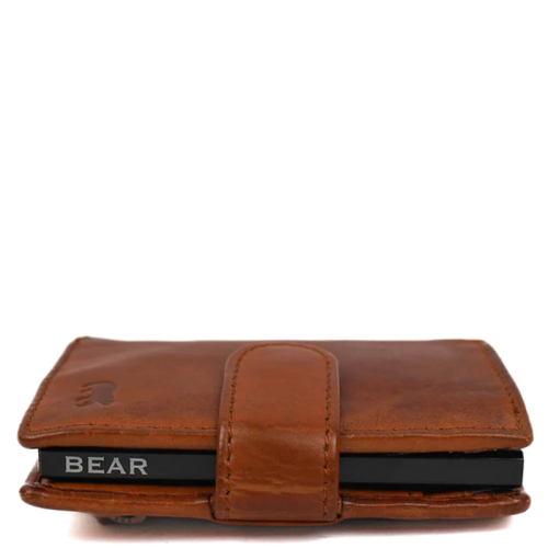 Bear Design Bobby Bruin