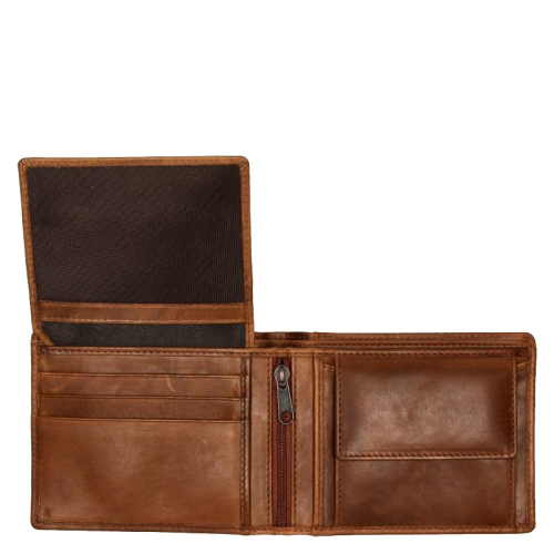Genicci Noble Bruin