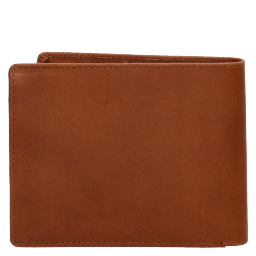 Genicci Noble Bruin