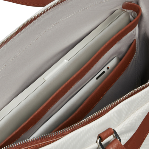 Samsonite Image Biz Rose