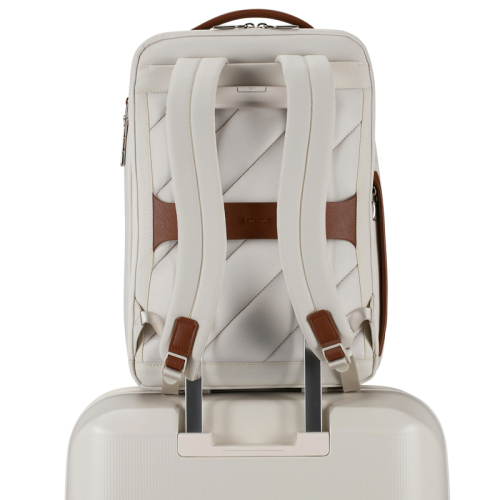 Samsonite Image Biz Rose