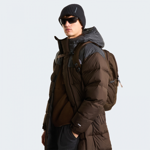 TheNorthFace Vault